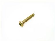 SALTO SP00095-3020 Bolt Through Fixings M5x30mm