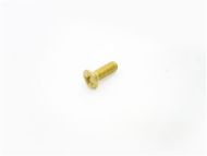 SALTO SP00212-50 Comfort Inner Cover Plate Screws Brass